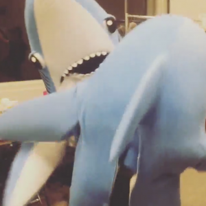 12 momentos que nos hacen ser el "LEFT SHARK" de la Super Bowl 2015 | The Idealist